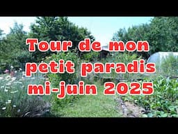 Tour de Mon Petit Paradis (Jardin Urbain en Permaculture et Jardin-Forêt) mi- juin 2025