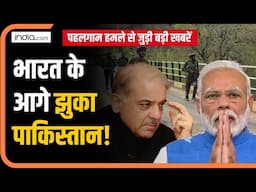 Pahalgam Terror Attack पर Supreme Court ने याचिकाकर्ता को क्यों लगाई फटकार? News bulletin