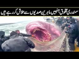 7 Last Photos of Mysterious Deep Sea Creatures In Urdu Hindi