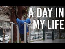 Morning routine, Calisthenics, Work, Walk, Sleep...