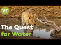 Water's Trials in Souther Africa, an incredible journey through the African wilderness