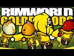 Professional Rimworld Player Builds Room After 15 hours of Series | Rimworld: Golden Gods #9