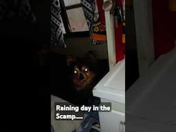 Just a rain day in the Scamp....!! stay dry!!