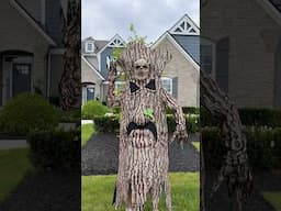 Why You Never Chop Down Trees