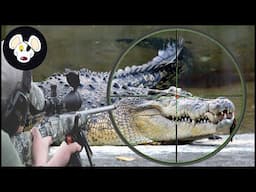 How Do Hunters Deal With Millions of Giant Crocodiles? | Hunting Documentary