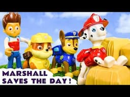 Can Marshall save the day for the other Paw Patrol pups?