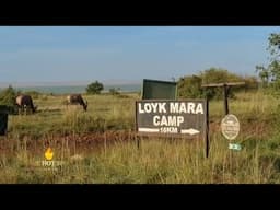 Discover Loyk Mara Camp | Hidden Gem in the Heart of Maasai Mara