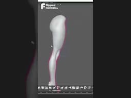 Legs and Feet Anatomy Exercises Course