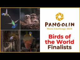 Birds of the World 2025 | Bird Photography Competition finalists