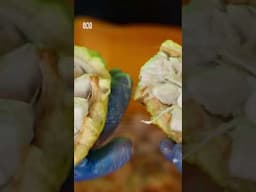 Who knew cacao sounded so delicious #ASMR #Chocolate #Shorts