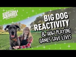 Big Dog Reactivity & How Playing Games Save Lives - Sexier than a Squirrel Podcast