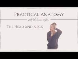 Practical Anatomy - Head, Neck and Jaw integration