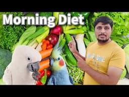 Parrot diet in Morning | Soft Food for Budgies, Cockatiel and Conure | Pet Guruji Setup