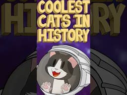 First Cat in Space! | Coolest Cats in History #shorts