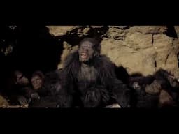 Film Theories 1: Stanley Kubrick (a lecture by: Jonathan Barlow Gee) [YouTube Friendly]