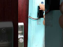 Fingerprint door lock
