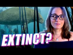 Is This Extinct Animal Still Alive?! A Marine Biologist Reacts