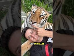 ¿Real o IA?🧐