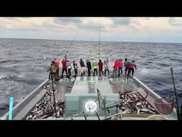 FISHING | SKIPJACK | MALDIVES