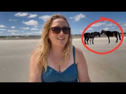 I Spent The Night Alone On Cumberland Island