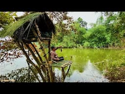 45 Days of survival in the jungle, making many tree shelters and finding food