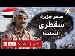 ماذا تعرفون عن جزيرة سقطرى واللغة السقطرية؟