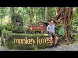 Monkey Forrest, Ubud, Bali. March 2025.