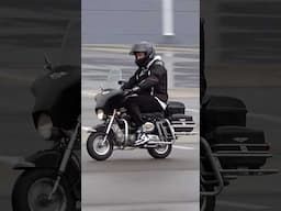 Mini Harley vs Monkey Baja vs Motocompacto