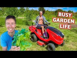 We can barely keep up (spring rush in the garden) | Life on a small farm in Central Europe