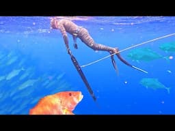 Offshore VS Inshore CHALLENGE! How Much SEAFOOD in ONE DAY? Catch N Cook
