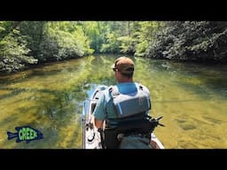 Big Bass Schooling in this Shallow Creek