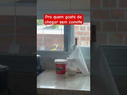 Pra quem gosta de chegar sem convite #janeladoriso #humor
