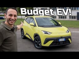 BYD Dolphin Surf Review (2025): An Affordable Electric Car!