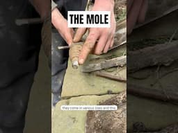 How To Dig A Tunnel For A Pipe