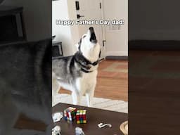 HAPPY FATHERS DAY!!! Send this to your dad!