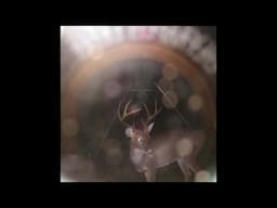 DERBY - Move Like That