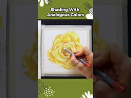 Watercolor Pencil Rose Shading