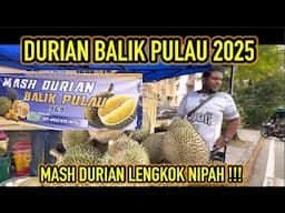 DURIAN BALIK PULAU 2025, DURIAN LENGKOK NIPAH BAYAN LEPAS, PENANG, BUAH BARU LURUH !!!