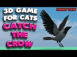 3D game for cats | CATCH THE CROW (front view) | 4K, 60 fps, stereo sound