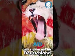 Schulden und Ukraine #schulden #cdu #merz #afd #politik #deutschland #ukraine #grünen  #protschka