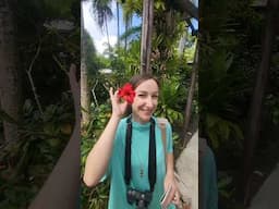 Samoa Vlog 11: A full day in Apia - SamoaPocketGuide.com
