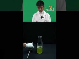 🫧 Blow GIANT Bubbles Using Just a Straw! 🤯 Fun Science Experiment! #Shorts