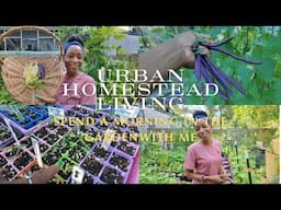 VLOG | Urban Homestead Living | Weekend Updates | Bean Harvest | A Morning in the Garden
