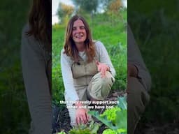 Gardening tips and tricks to save time.