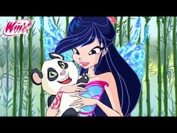 Winx Club - Tierabenteuer-Zusammenstellung | Die 4 besten Momente! 🐾🐅