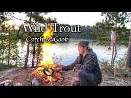 6 Days WILD TROUT Fishing & Camping in a Remote Wilderness Park - Catch & Cook