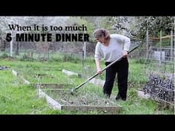 When it gets to be too much - Easy 5 Minute Dinner