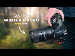 The Last of Winter: A Macro Photo Walk