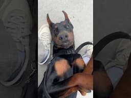 This is about 5min after his insane whining fit that had me praying no one would notice me