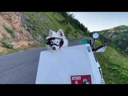 Dog off-road on motorcycle, Abandoned Cold War Base! Ride Vlog Italy